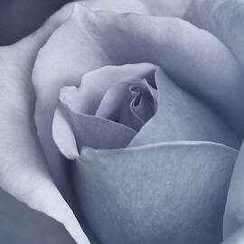 The Art Of Marilyn Ridoutt-Greene - Azul The Art Of Marilyn Ridoutt-Greene - Azul