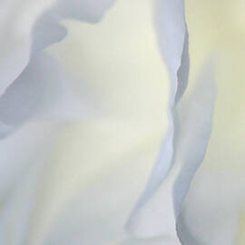 The Art Of Marilyn Ridoutt-Greene - Wanderer The Art Of Marilyn Ridoutt-Greene - Wanderer