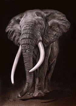 britney spears nu porno nude and elephant in africa