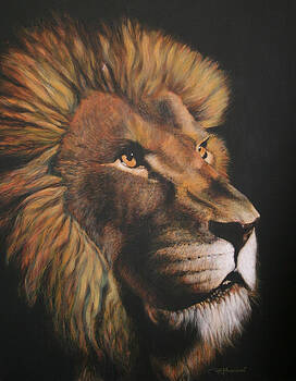 Bruce Mclachlan Artwork For Sale Hamilton Waikato