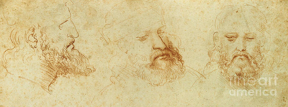 Leonardo Da Vinci - Estudio de una cabeza masculina