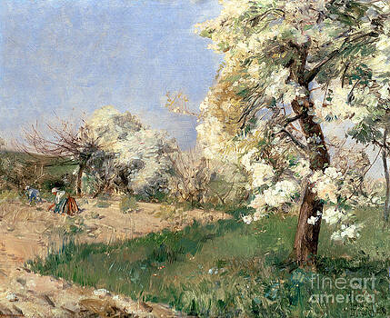 Childe Hassam - Pear Blossoms