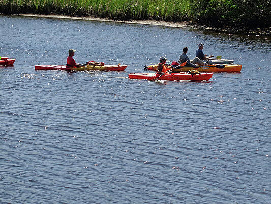 Kayaks by John Mathews Kayaks by John Mathews
