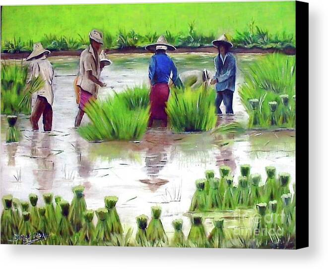Rice Planting Central Thailand By Derek Rutt Canvas Print featuring the painting Rice Planting Central Thailand by Derek Rutt