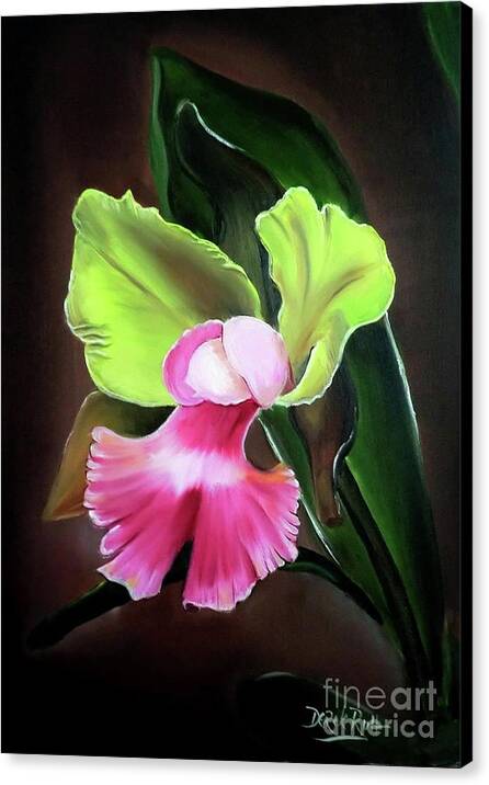 Artist Derek Rutt Canvas Print featuring the painting The Orchid by Derek Rutt