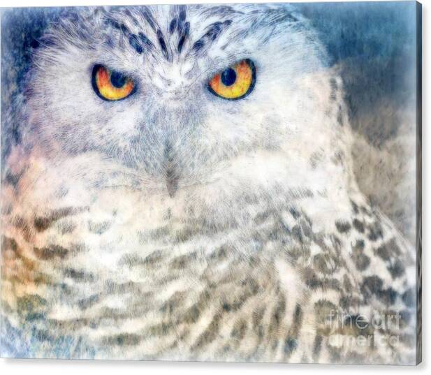 Owl Canvas Print featuring the painting Snowy Owl by Wbk