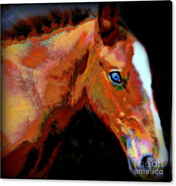 Horse Canvas Print featuring the painting Blue Eyed Filly 2016 by Wbk