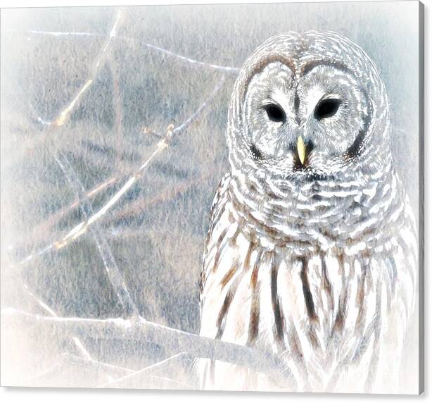 Owl Canvas Print featuring the painting Owl In Winter by Wbk