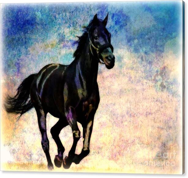 Horse Canvas Print featuring the painting Arabian by Wbk