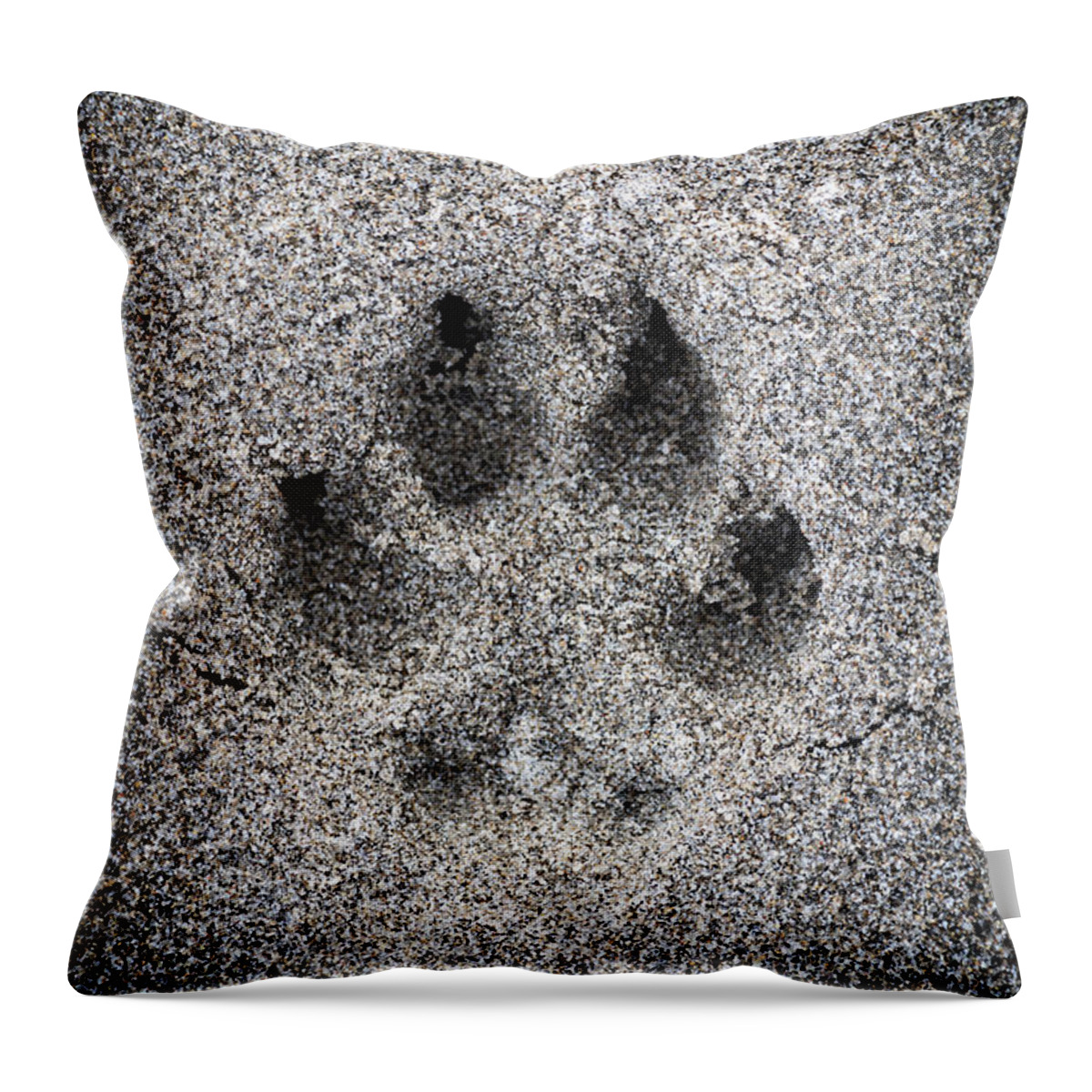 Dog Paw Print In Sand Throw Pillow for Sale by Elena Elisseeva
