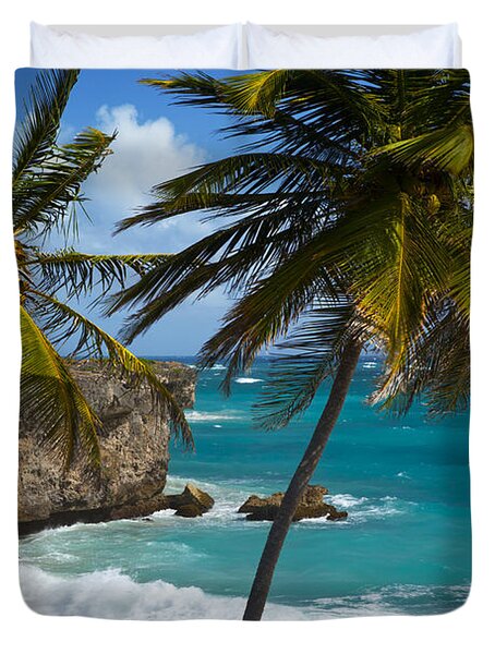 Barbados Beach Photograph By Brian Jannsen