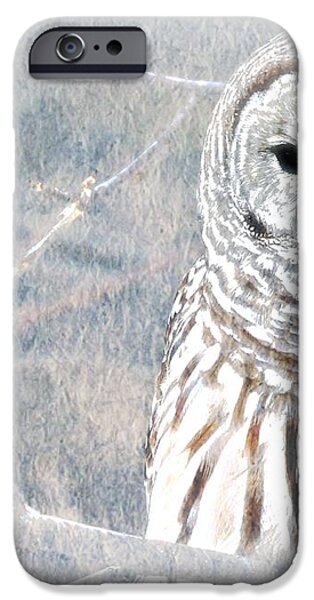 Owl In Winter iPhone Case by WBK