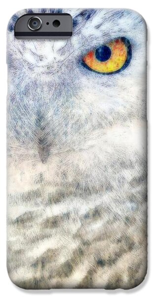 Snowy Owl iPhone Case by WBK