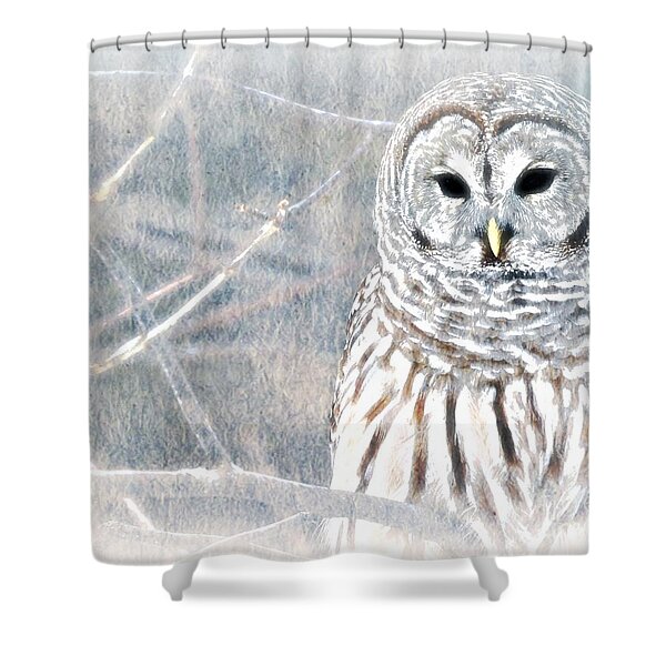 Owl In Winter Shower Curtain by WBK