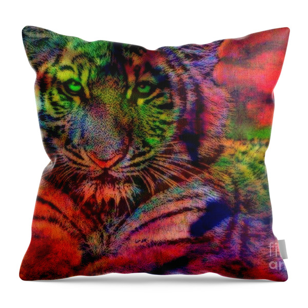 Evening Reflections Throw Pillow by WBK