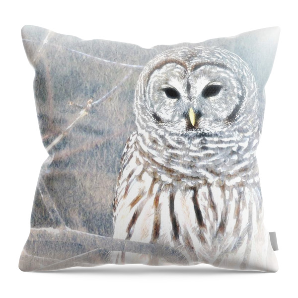 Owl In Winter Throw Pillow by WBK