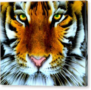 Sebastian, Bengal Tiger Canvas Print by Wbk