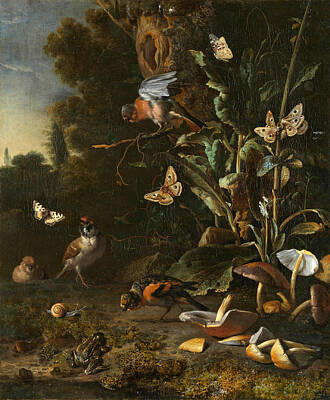 Frog Painting - Birds Butterflies And A Frog Among Plants And Fungi by Melchior d'Hondecoeter