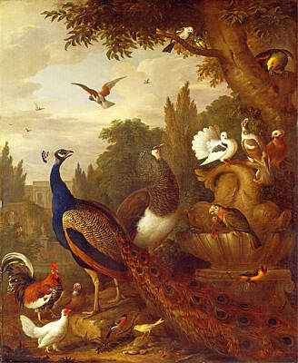 Parrot Painting - Peacock Peahen Parrots Canary And Other Birds In A Park by Jakob Bogdani