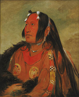 George Catlin Painting - Wi-jun-jon. Pigeons Egg Head. A Distinguished Young Warrior by George Catlin