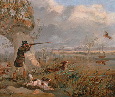 Duck Painting - Duck Shooting by Henry Thomas Alken