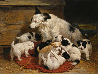  Painting - A Dog And Her Puppies by Henriette Ronner-Knip