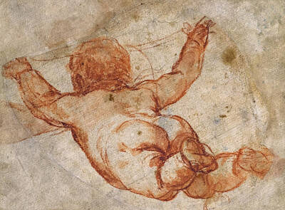  Drawing - A Flying Putto Seen From Behind by Mattia Preti
