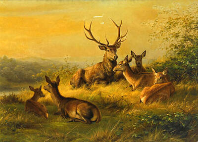  Painting - A Stag And Does Resting In A Landscape by Johannes Deiker
