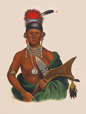  Drawing - Ap-pa-noo-se Saukie Chief by Unknown