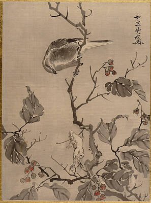 Frog Painting - Bird And Frog by Kawanabe Kyosai