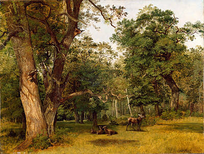 Jean-victor Bertin Painting - Deer At The Edge Of A Wood by Jean-Victor Bertin