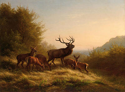 Painting - Deer In Landscape by Johannes Deiker