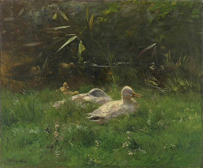 Duck Painting - Ducks by Willem Maris