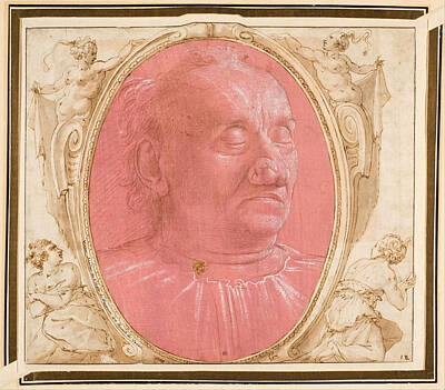 Domenico Ghirlandaio Drawing - Head Of An Old Man by Domenico Ghirlandaio