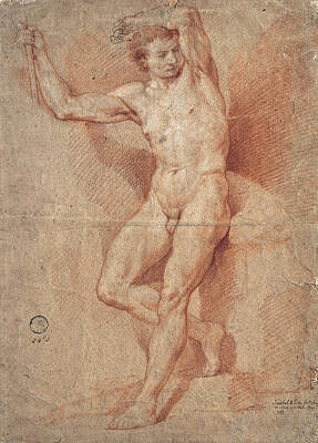  Drawing - Standing Male Nude by Nicolas Guibal