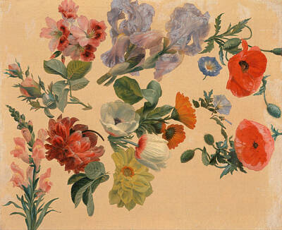 Jacques Laurent Agasse Painting - Studies Of Summer Flowers by Jacques-Laurent Agasse