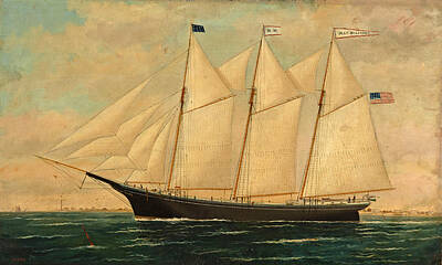 William Pierce Stubbs Painting - The Three Masted Coastal Schooner Mae Williams At Sea by William Pierce Stubbs