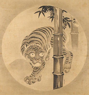 Tiger Drawing - Tiger Emerging From Bamboo by Kano Tsunenobu