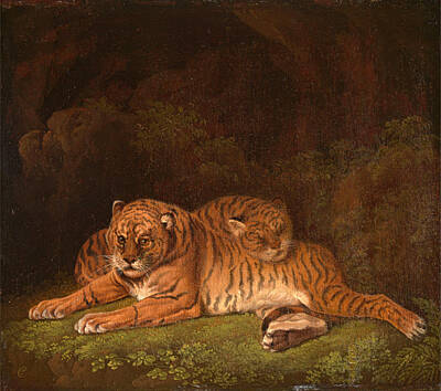 Tiger Painting - Tigers by Charles Towne