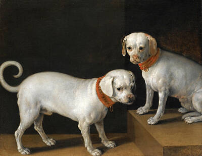 Tiberio Painting - Two Dogs With Red Collars by Attributed to Tiberio Titi