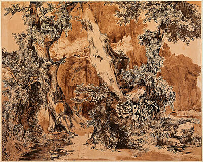 Carl Blechen Drawing - Weathered Tree Trunks In A Park by Carl Blechen