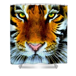 Sebastian, Bengal Tiger Shower Curtain by Wbk