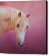 Pretty In Pink - Palomino Pony Canvas Print by Michelle Wrighton