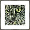 Intense Framed Print by Michelle Wrighton