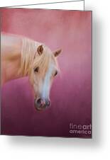 Pretty In Pink - Palomino Pony Greeting Card by Michelle Wrighton