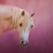 Pretty In Pink - Palomino Pony Poster by Michelle Wrighton