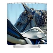 Grey In Blue Shower Curtain by Michelle Wrighton