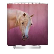 Pretty In Pink - Palomino Pony Shower Curtain by Michelle Wrighton