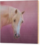 Pretty In Pink - Palomino Pony Wood Print by Michelle Wrighton