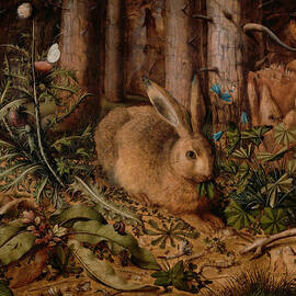 A Hare In The Forest by Hans Hoffmann